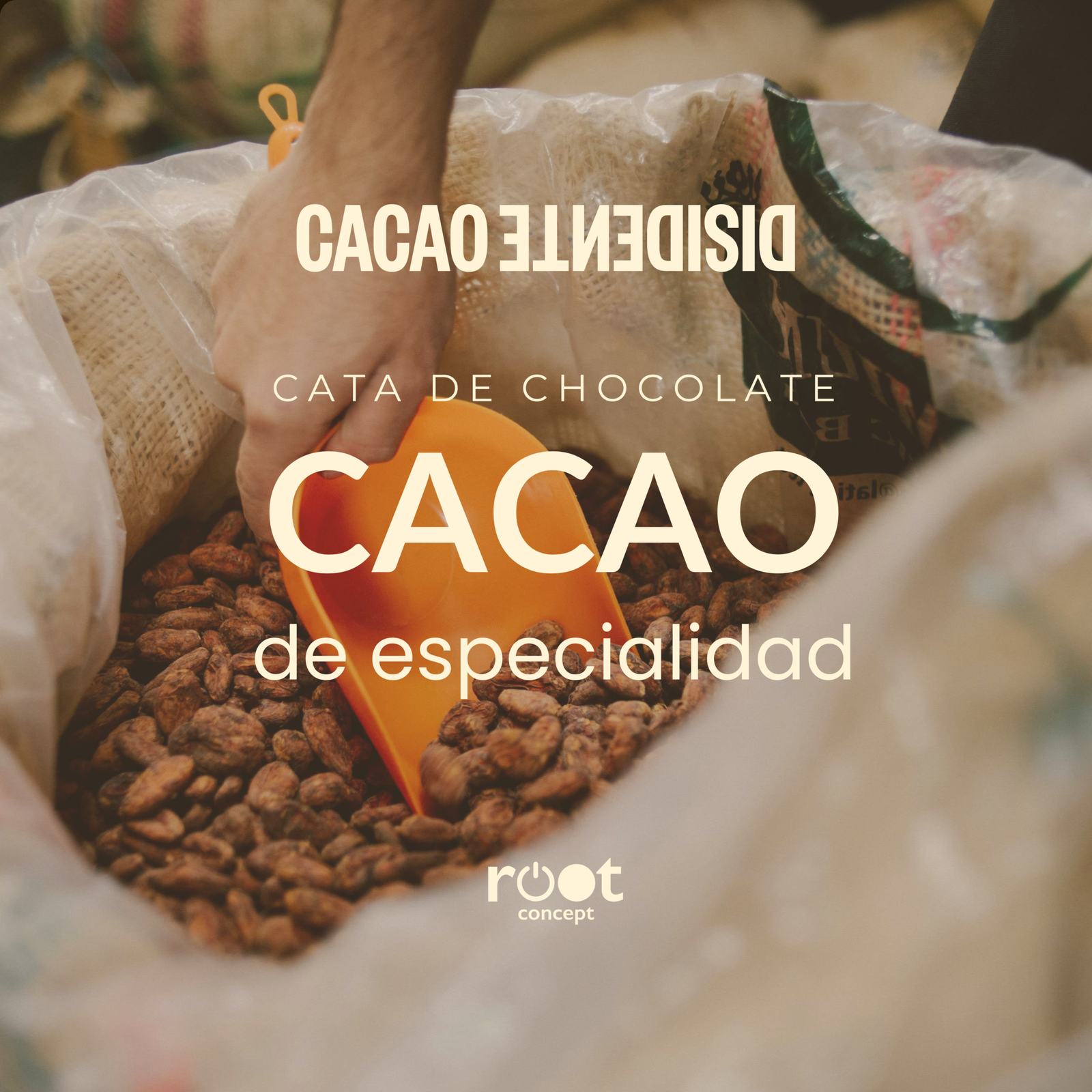 cata de chocolates bean to bar cacao disidente en root concept tienda vinos naturales malasana madrid