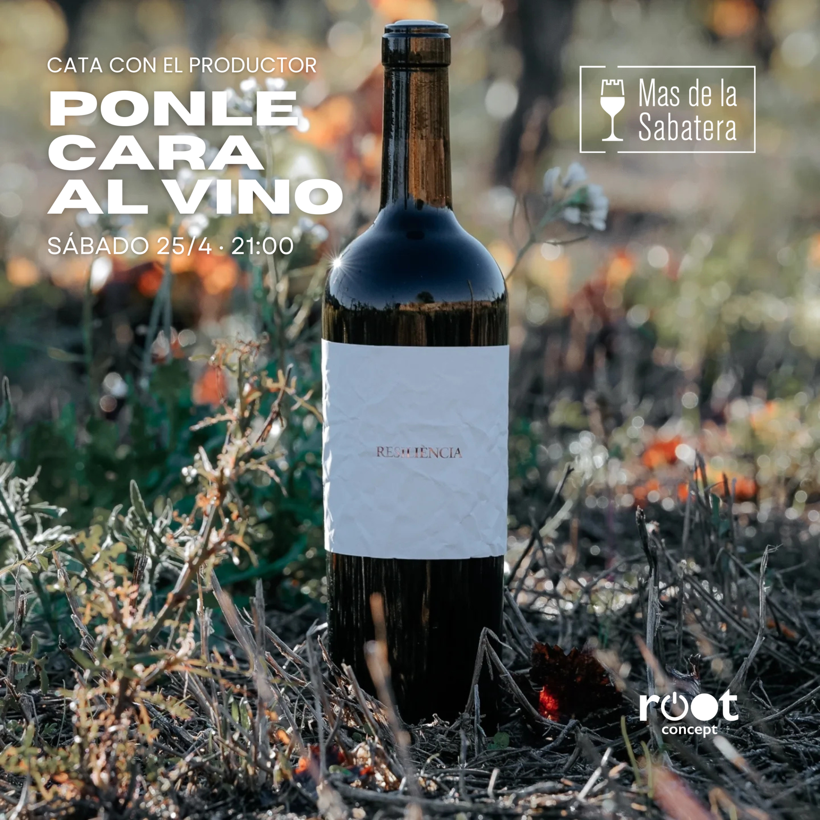 ponle cara al productor cata con bodega mas de la sabatera en root