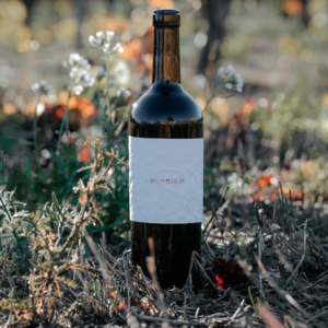 resilencia de mas de la sabatera cabernet sauvignontienda vinos naturales malasana madrid root concept